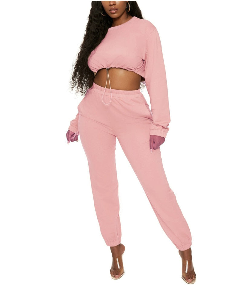 Two Piece Casual Drawstring Crop Hoodie and Sweat Pant Set