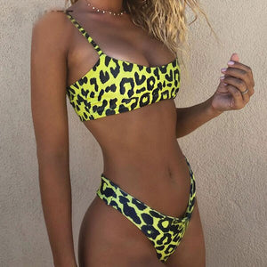 Two Piece Leopard Printed Bikini Set