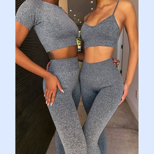 Two Piece Crop Top and Biker Pant Set