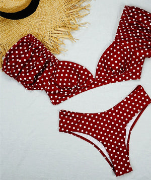 Vintage Polka Dot Two Piece Bikini