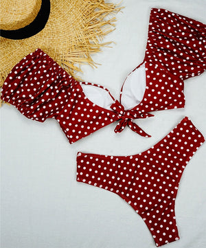 Vintage Polka Dot Two Piece Bikini