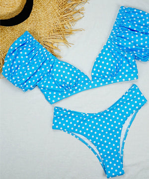 Vintage Polka Dot Two Piece Bikini