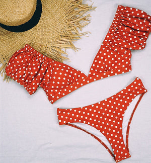 Vintage Polka Dot Two Piece Bikini