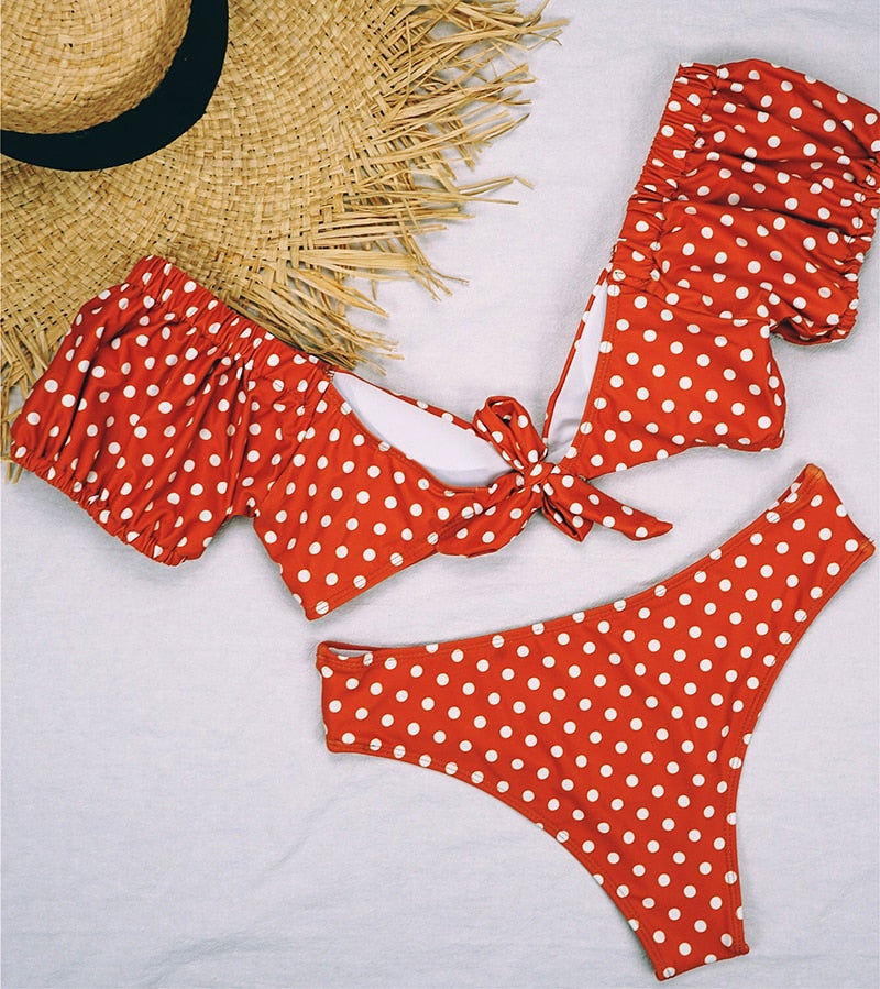 Vintage Polka Dot Two Piece Bikini